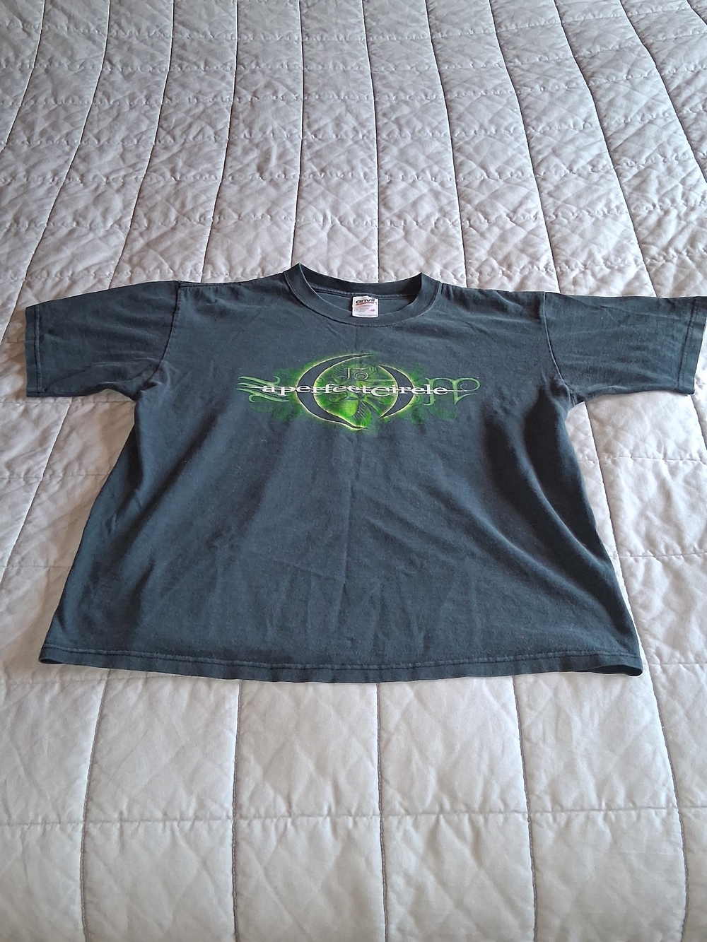 Anvil Black Tee with Green Graphic